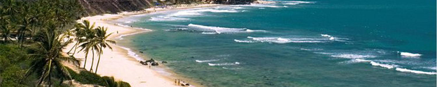 Paquete pipa y natal lanzate