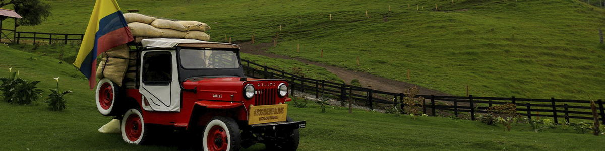 Paquetes a medellin y cartagena lanzate
