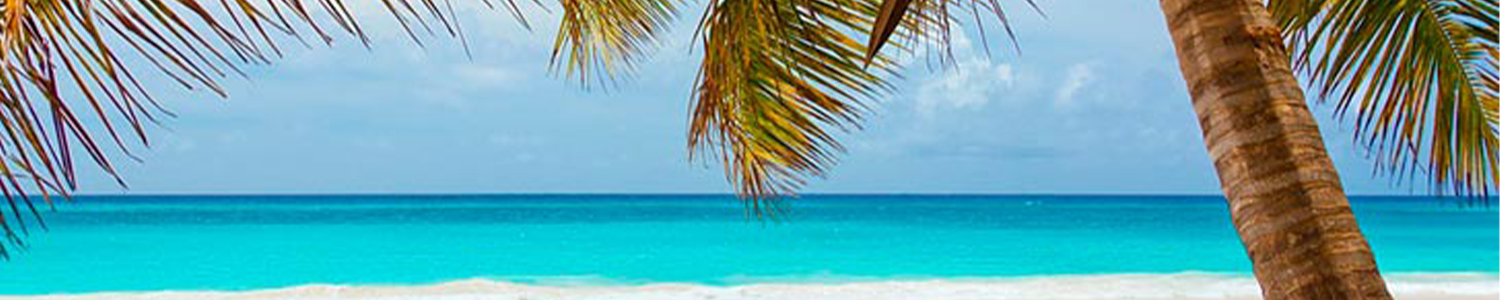 Paquetes cancun todo incluido lanzate