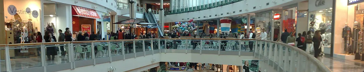 Viajes a chile desde argentina tour de compras