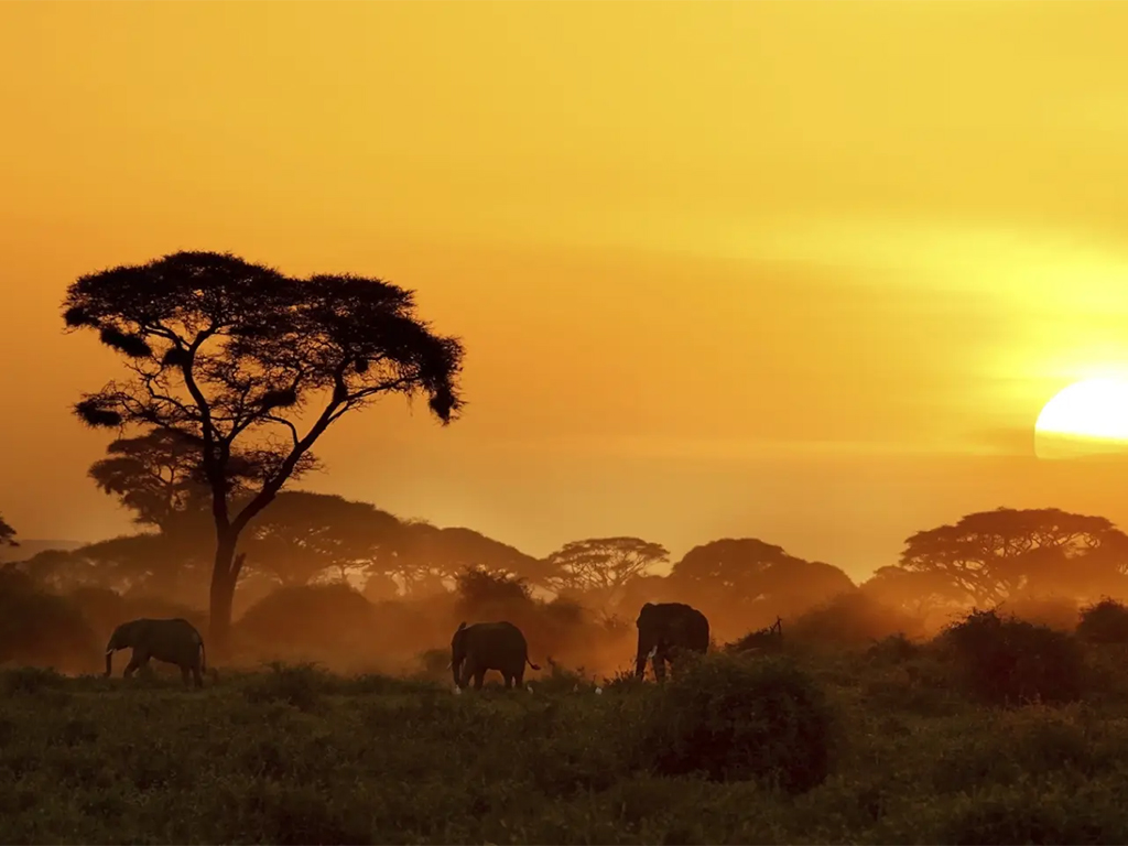 Viajes a kenia desde argentina