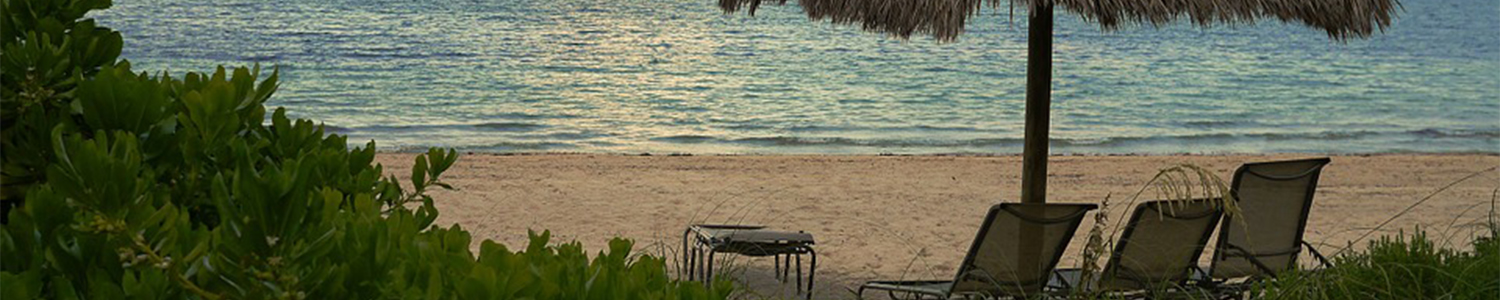 Viajes a miami con alquiler de auto lanzate