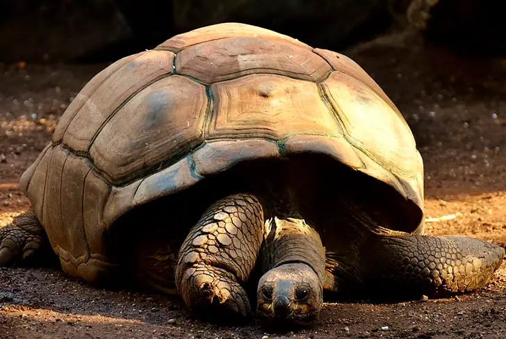 Imagen de Viaje a las Islas Galapagos