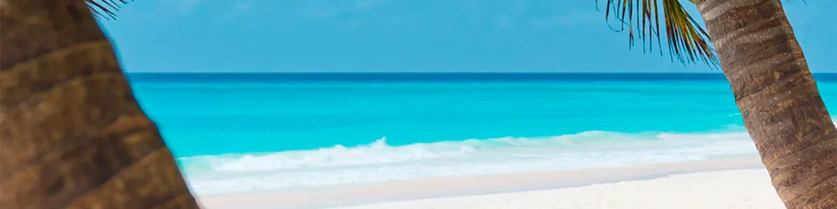 paquete punta cana todo incluido lanzate