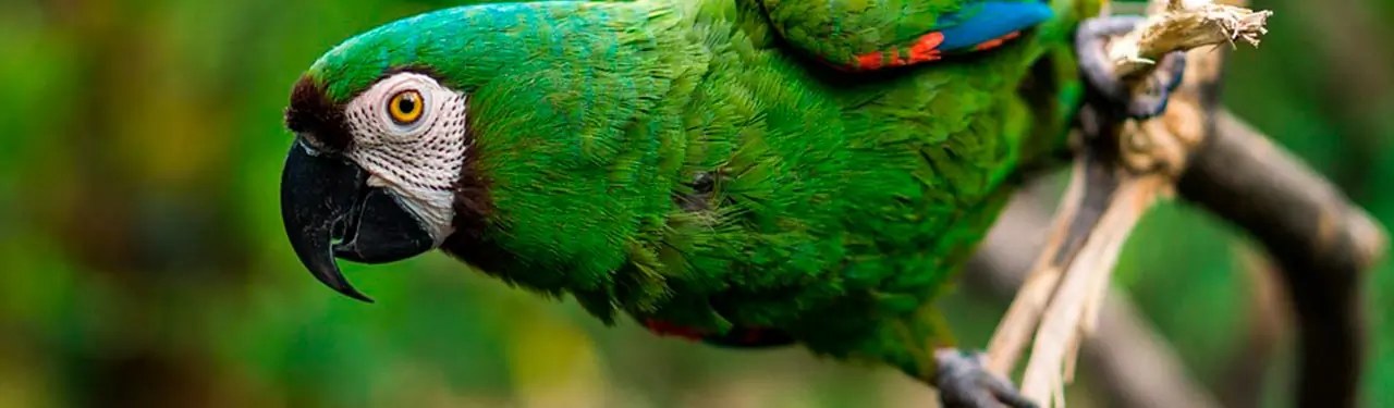 Imagen adicional relacionada con Viaje a las Islas Galapagos